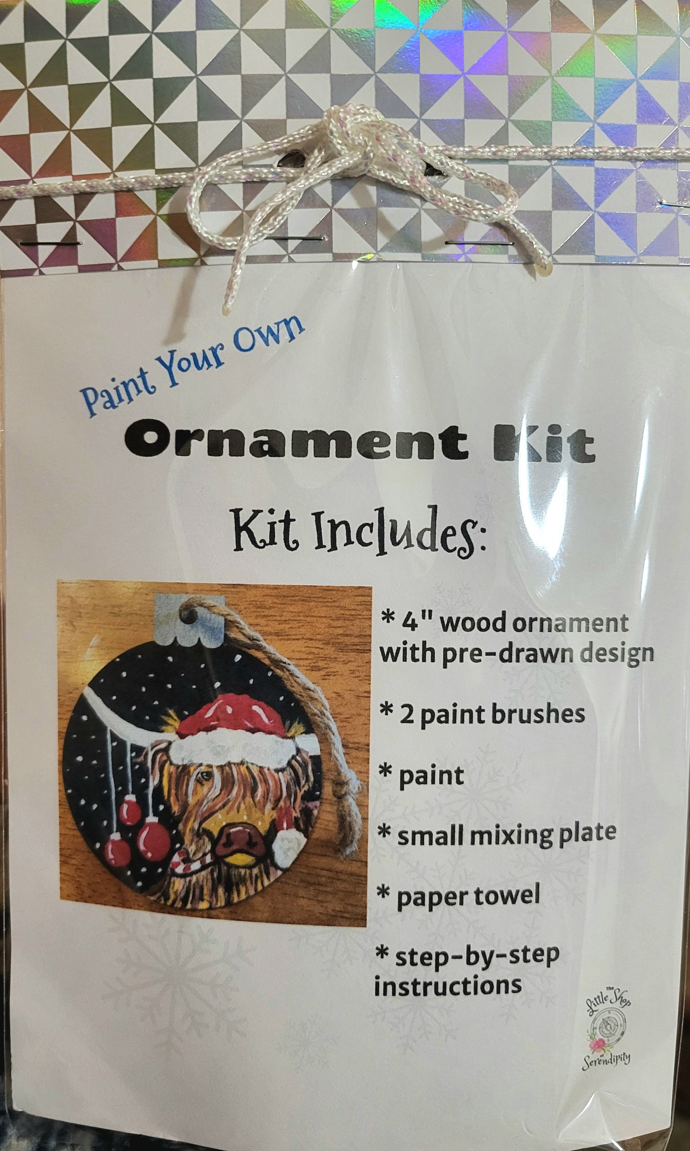 DIY Ornament Painting Kit