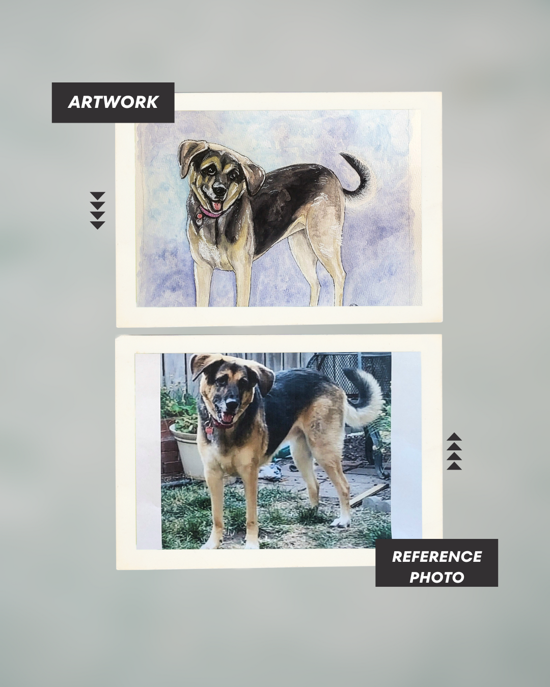 Custom Pet Portrait Watercolor - Hand-Painted from Your Photo | Serendipity